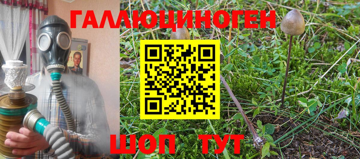 Псилоцибиновые грибы Psilocybe  Вход с VPN  Уварово  Галлюциногенные грибы Psilocybe 