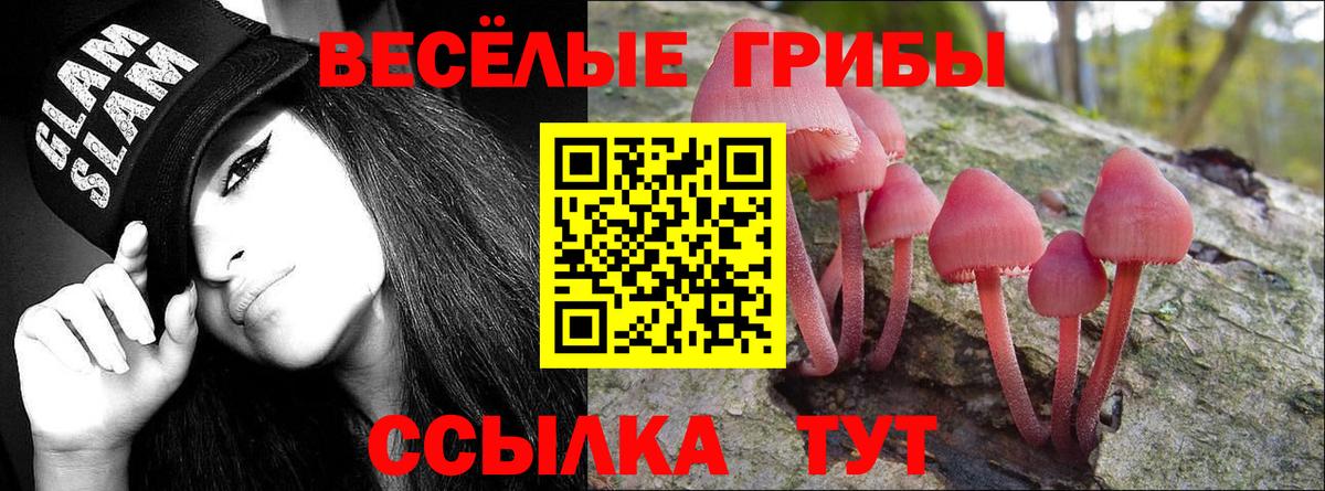 Псилоцибиновые грибы ЛСД Уварово